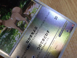 CE6613 Stantler C L1HG 062/070 mirror Pokemon Card TCG Japan