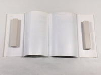 AAA2004 Ichigo 100% Vol.8 Japanese Manga