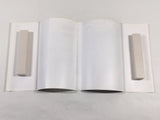 AAA2004 Ichigo 100% Vol.8 Japanese Manga