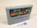 SJ7429 Super Donkey Kong Country SNES Super Famicom Japan