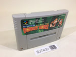 SJ7431 Super Donkey Kong Country SNES Super Famicom Japan