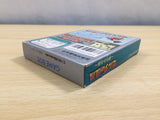 UE6305 The Legend of Zelda Link's Awakening BOXED GameBoy Game Boy Japan