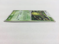 CD8672 Victreebel Rare Holo PCG1 017/082 Pokemon Card TCG Japan