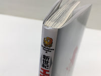 AAA1333 Neon Genesis Evangelion Vol.14 Japanese Manga