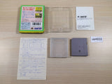 Takahashi Meijin no Boukenjima II 2 BOXED GameBoy Game Boy Japan - UE4933