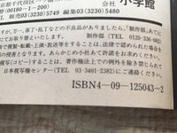 AAA1238 Case Closed Vol.13 Japanese Manga