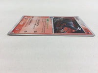 CD8674 Houndoom Rare Holo PCG4 018/106 Pokemon Card TCG Japan