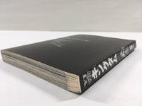AAA1334 Kingdom Vol.11 Japanese Manga