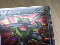 CE8017 Fraxure - DS 015/020 Pokemon Card TCG Japan