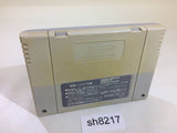 Street Fighter II 2 SNES Super Famicom Japan - SH8217