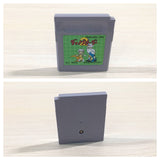 Dino Breeder 2 BOXED GameBoy Game Boy Japan - UE4102