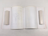 AAA2007 Flame of Recca Vol.24 Japanese Manga