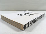 AAA2007 Flame of Recca Vol.24 Japanese Manga