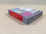 F1 Race BOXED GameBoy Game Boy Japan - UE4684