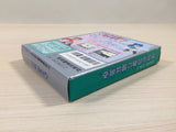 Kaeru no Tame ni Kane wa Naru BOXED GameBoy Game Boy Japan - UE4103