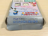 Kaeru no Tame ni Kane wa Naru BOXED GameBoy Game Boy Japan - UE4103