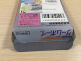 F1 Race BOXED GameBoy Game Boy Japan - UE4684