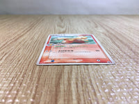 CE6219 Combusken - PROMO 136/PCG-P Pokemon Card TCG Japan