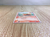CE6219 Combusken - PROMO 136/PCG-P Pokemon Card TCG Japan