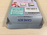 Kaeru no Tame ni Kane wa Naru BOXED GameBoy Game Boy Japan - UE4103