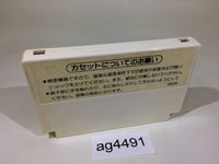 ag4491 Donkey Kong JR. NES Famicom Japan