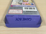 Mario Picross 2 BOXED GameBoy Game Boy Japan - UE5405