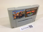 SJ7446 Super Donkey Kong Country 3 SNES Super Famicom Japan