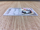 cd9707 Registeel - PROMO 100/PCG-P Pokemon Card TCG Japan