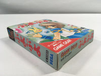 DK6210 Puyo Puyo BOXED Sega Game Gear Japan