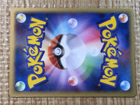 CE6220 Registeel - PROMO 100/PCG-P Pokemon Card TCG Japan