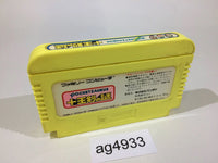 ag4933 Pocket Saurus Jyuouken no Nazo NES Famicom Japan