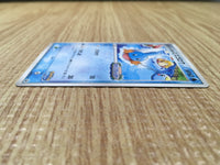 CD9709 PokePark's Mudkip - PROMO 048/PCG-P Pokemon Card TCG Japan