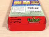 Teenage Mutant Ninja Turtles TMNT 2 BOXED GameBoy Game Boy Japan - UE3241