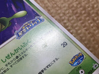 CD9710 PokePark's Celebi - PROMO 044/PCG-P Pokemon Card TCG Japan