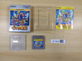 UE7963 Super Mario Land 2 6 Golden Coins BOXED GameBoy Game Boy Japan