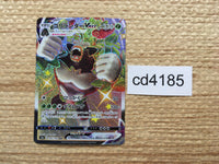 CD4185 Rillaboom VMAX SSR S4a 305/190 Pokemon Card TCG Japan