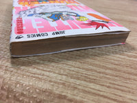 AAA1096 Hunter x Hunter Vol.4 Japanese Manga