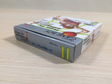 Slam Dunk From TV Animation BOXED GameBoy Game Boy Japan - UE3972