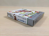 Slam Dunk From TV Animation BOXED GameBoy Game Boy Japan - UE3972
