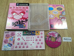 FH6314 Street V3 Mario De Dunk BOXED GameCube Japan
