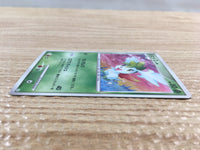 CD6870 Shaymin Rare Holo Pt1 014/096 Pokemon Card TCG Japan