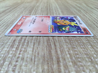 CD9712 PokePark's Torchic - PROMO 047/PCG-P Pokemon Card TCG Japan