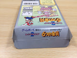 UE8206 Super Mario Land 2 6 Golden Coins BOXED GameBoy Game Boy Japan