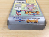 UE7963 Super Mario Land 2 6 Golden Coins BOXED GameBoy Game Boy Japan