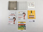 DK7917 Volleyball BOXED Famicom Disk Japan