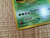 CE3323 Meganium - neo1 154 Pokemon Card TCG Japan