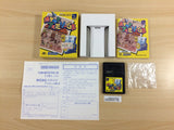 Pocket Family GB BOXED GameBoy Game Boy Japan - UD8976