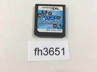 FH3651 Kurikin Nano Island Story Nintendo DS Japan
