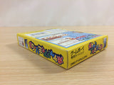 Pocket Family GB BOXED GameBoy Game Boy Japan - UD8976