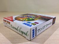 DK6812 Eternal Legend Eien no Densetsu BOXED Sega Game Gear Japan